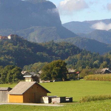 Villa Dei Sogni Bled Bagian luar foto