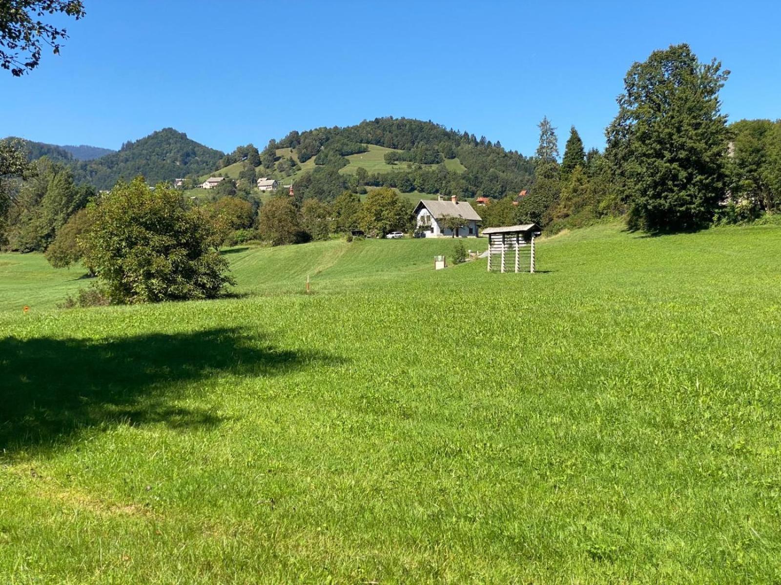 Villa Dei Sogni Bled Bagian luar foto