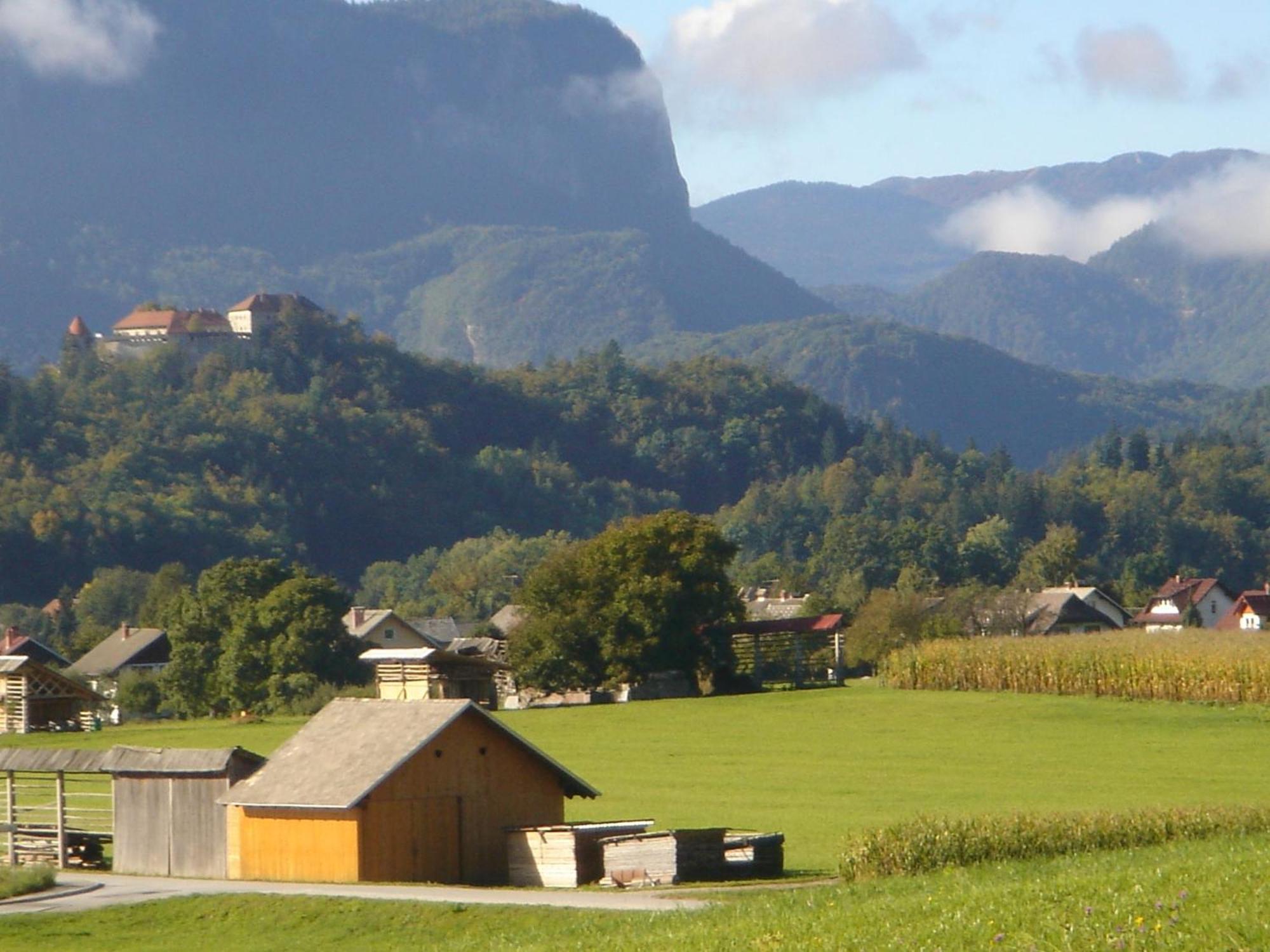 Villa Dei Sogni Bled Bagian luar foto